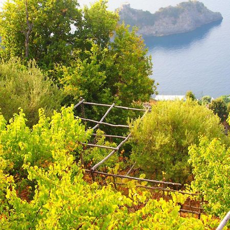 Giardino Sul Mare Apartment Amalfi Luaran gambar