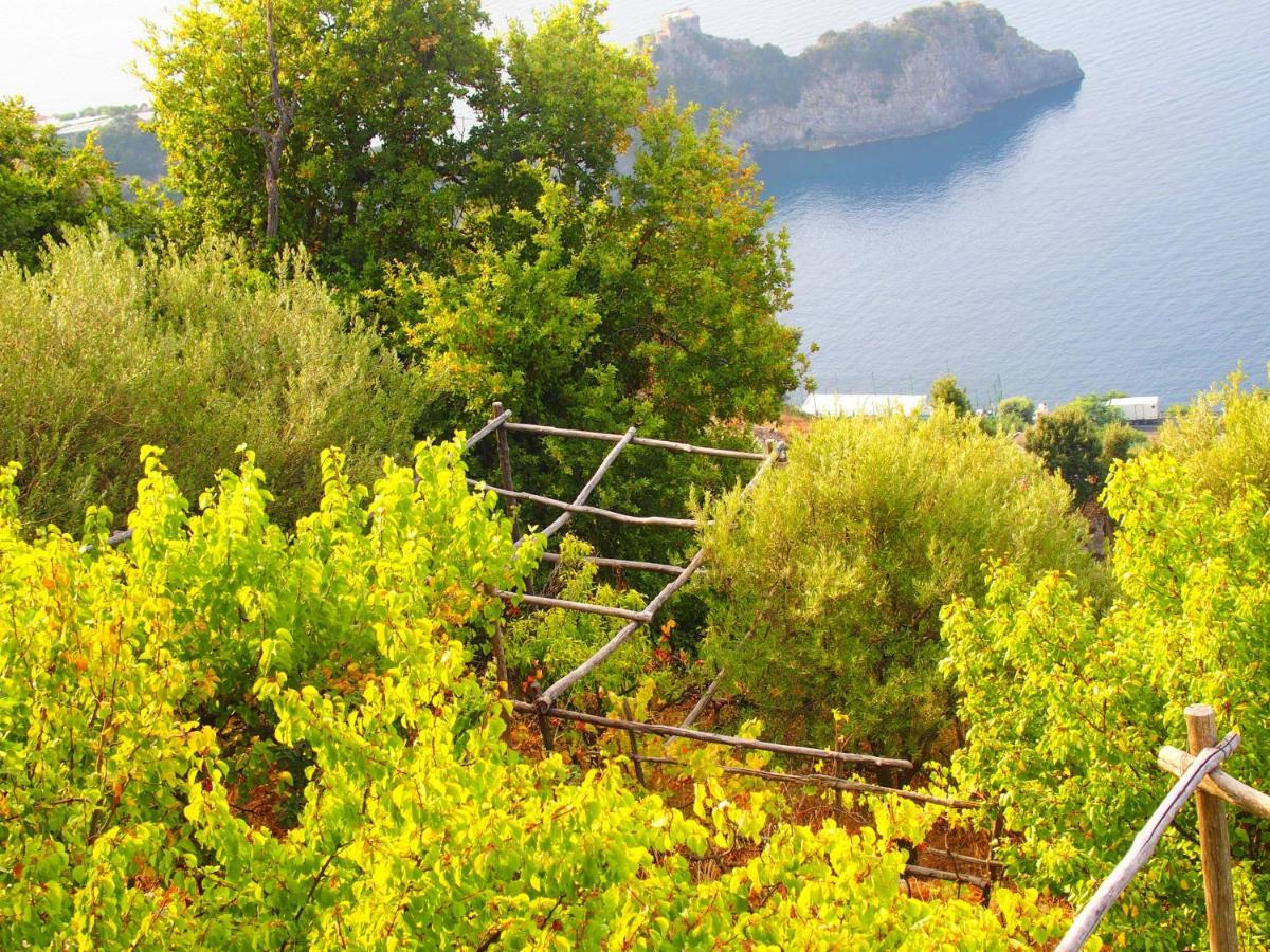 Giardino Sul Mare Apartment Amalfi Luaran gambar