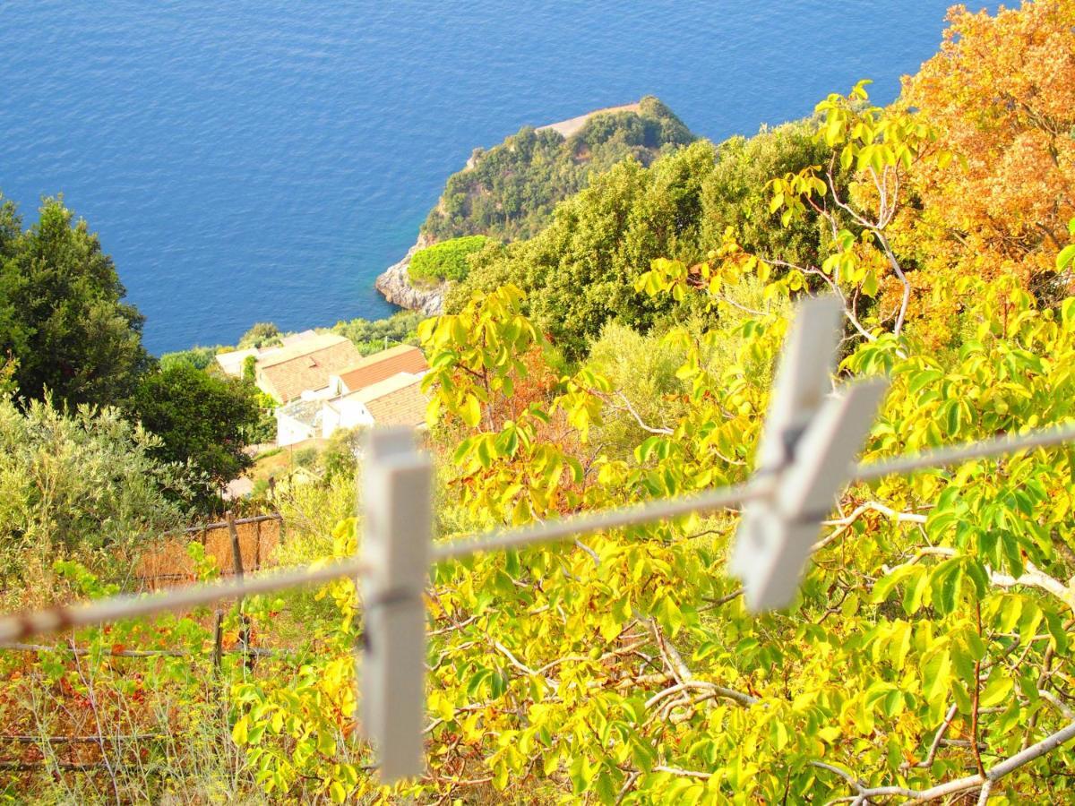 Giardino Sul Mare Apartment Amalfi Luaran gambar